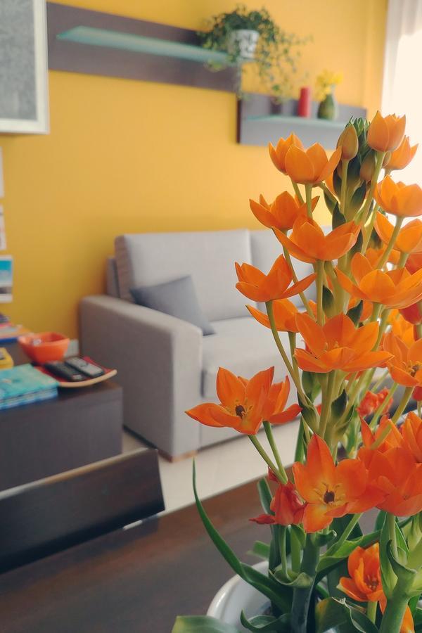 Bed & Breakfast Tiziana Castellammare del Golfo Dış mekan fotoğraf